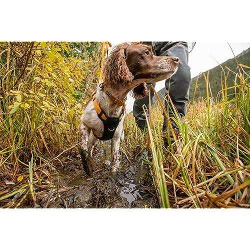Dog Harness R94907