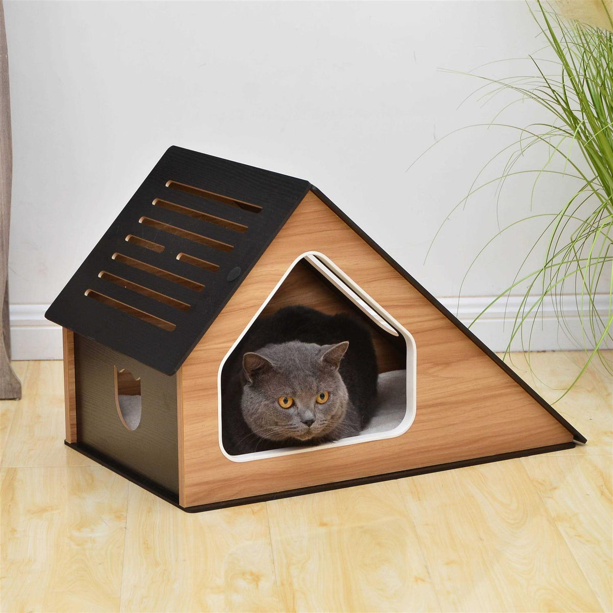 Modern Cat Condo with Sisal Scratching Pad I874158