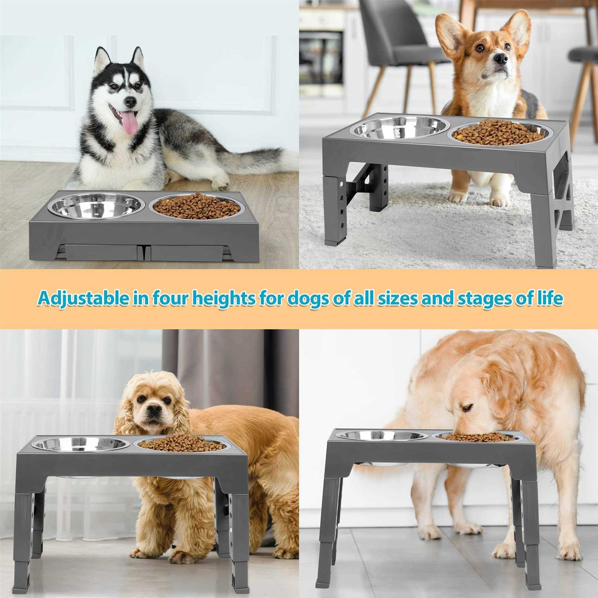 Elevated Dog Bowls with 2 Stainless Steel Bowls E6406