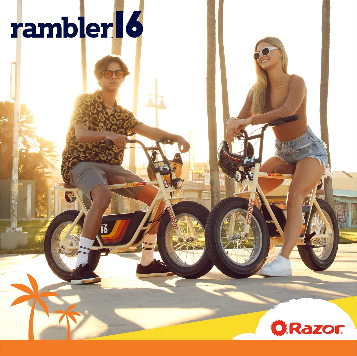36V Seated Electric Scooter Q805