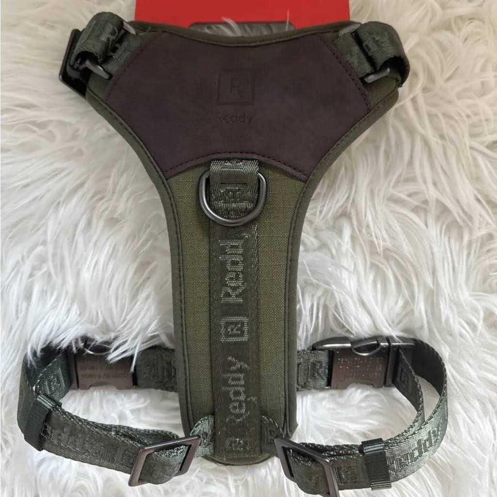 Dog Harness I49267