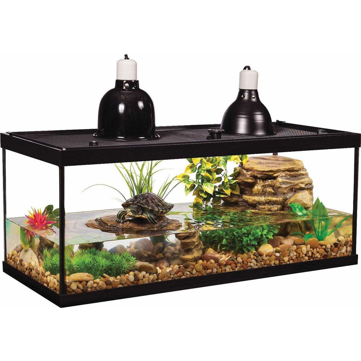 20 Gallon Aquarium With Filter And Heating Lamps U181