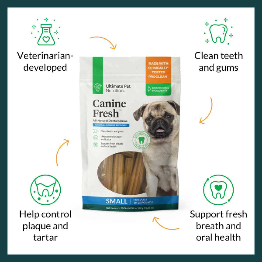 All Natural Dental Chews Sticks for Dogs V527