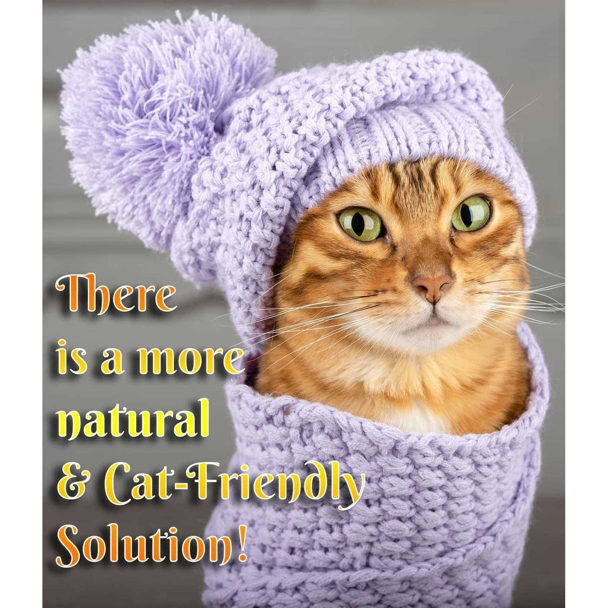 Cat Dandruff Care Spray B2694