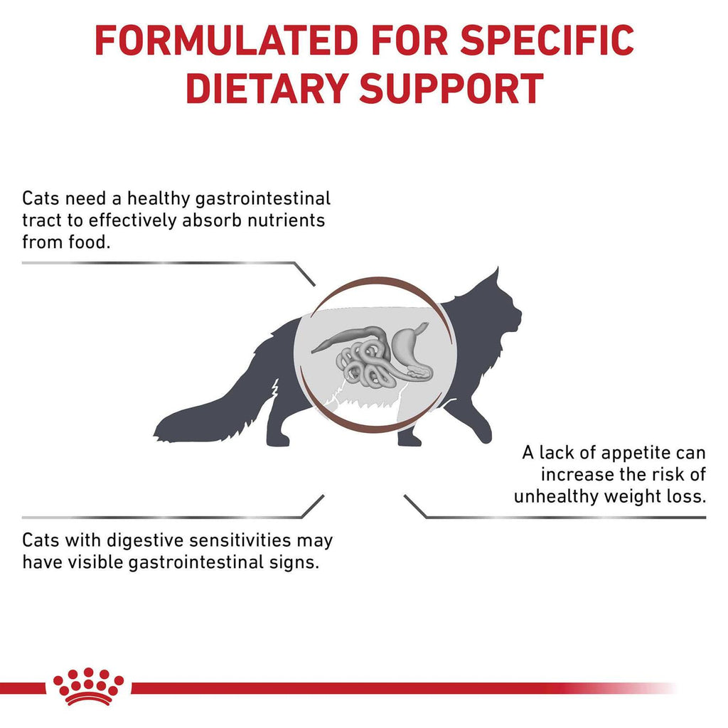 Veterinary Diet Feline Gastrointestinal Dry Cat Food X315925