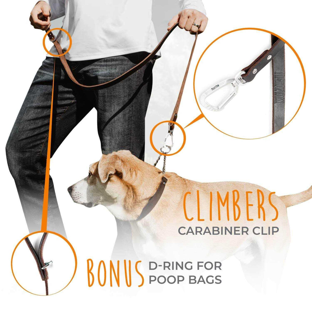 Leather Dog Leash F24683