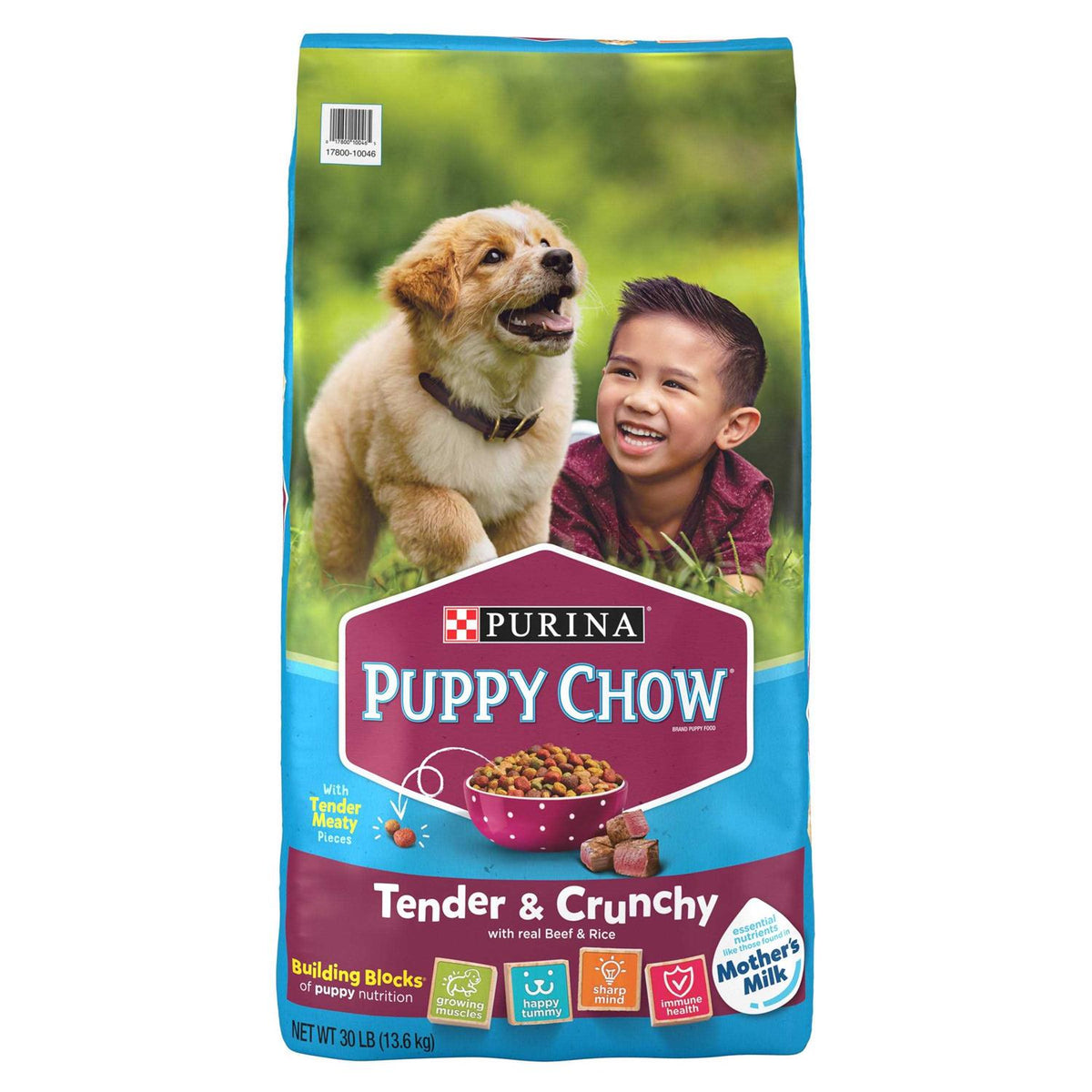 Real Beef Dry Puppy Food P938