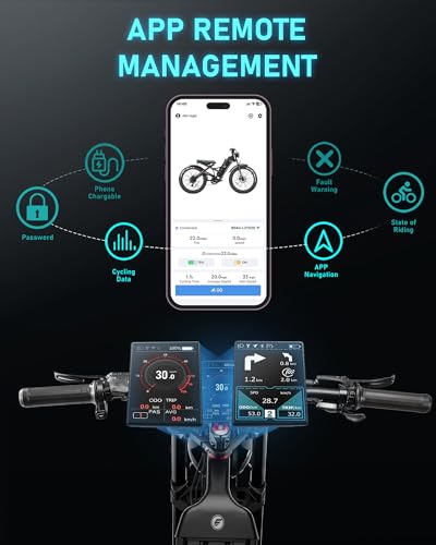 1200W Dual Motor 60Ah Adult Electric Bike with Fat Tire I2009