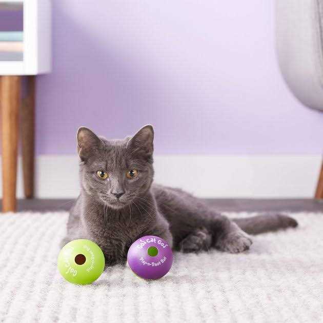 Cat Toy W387