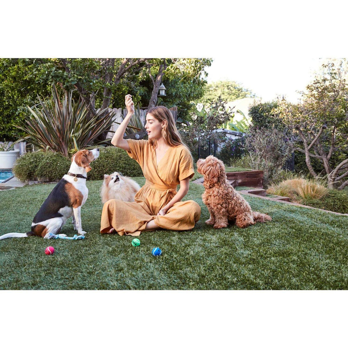 Beef Jerky Dog Treats Q472280
