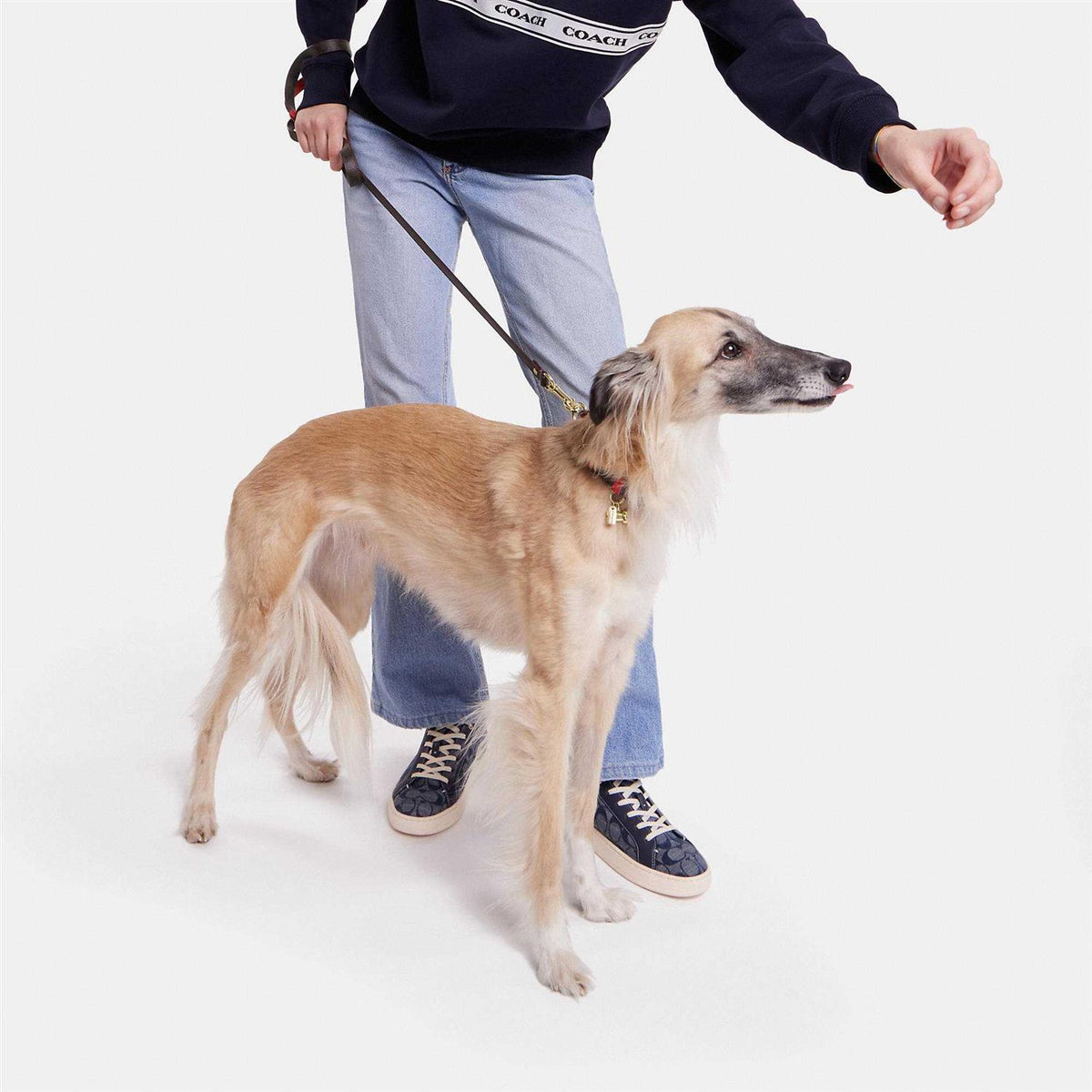 Boxed Pet Leash In Signature Canvas E4396