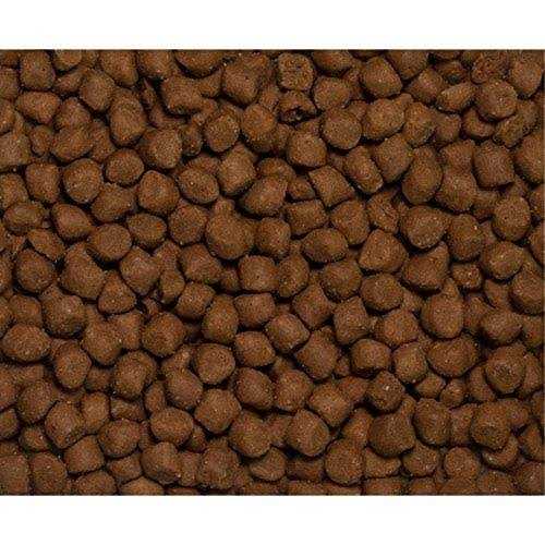 Dry Dog/Cat Food K207232