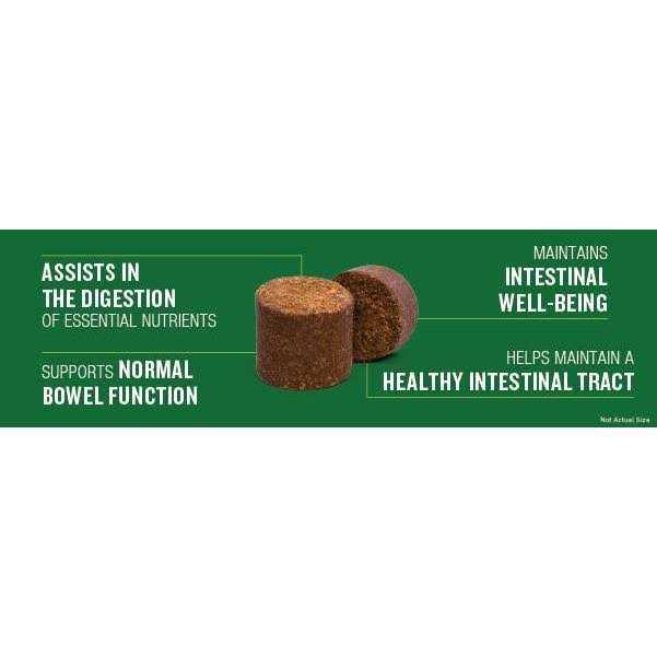 Probiotic Soft Chew Supplement for Dogs K2942