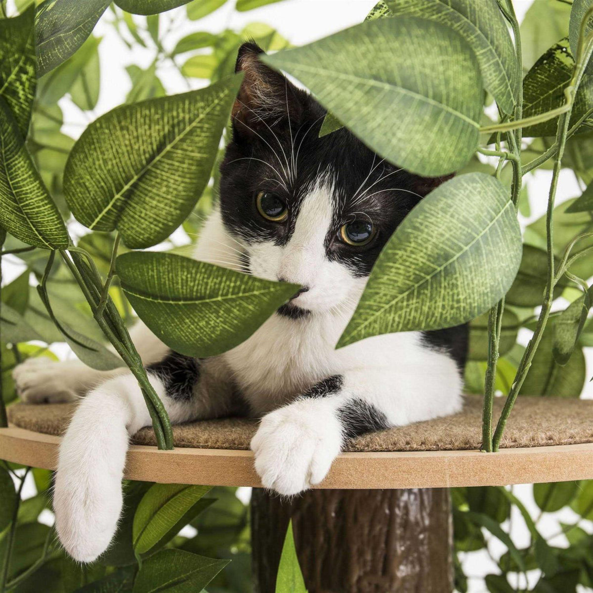 4ft Interchangeable Leaves Cat Activity Tree J233