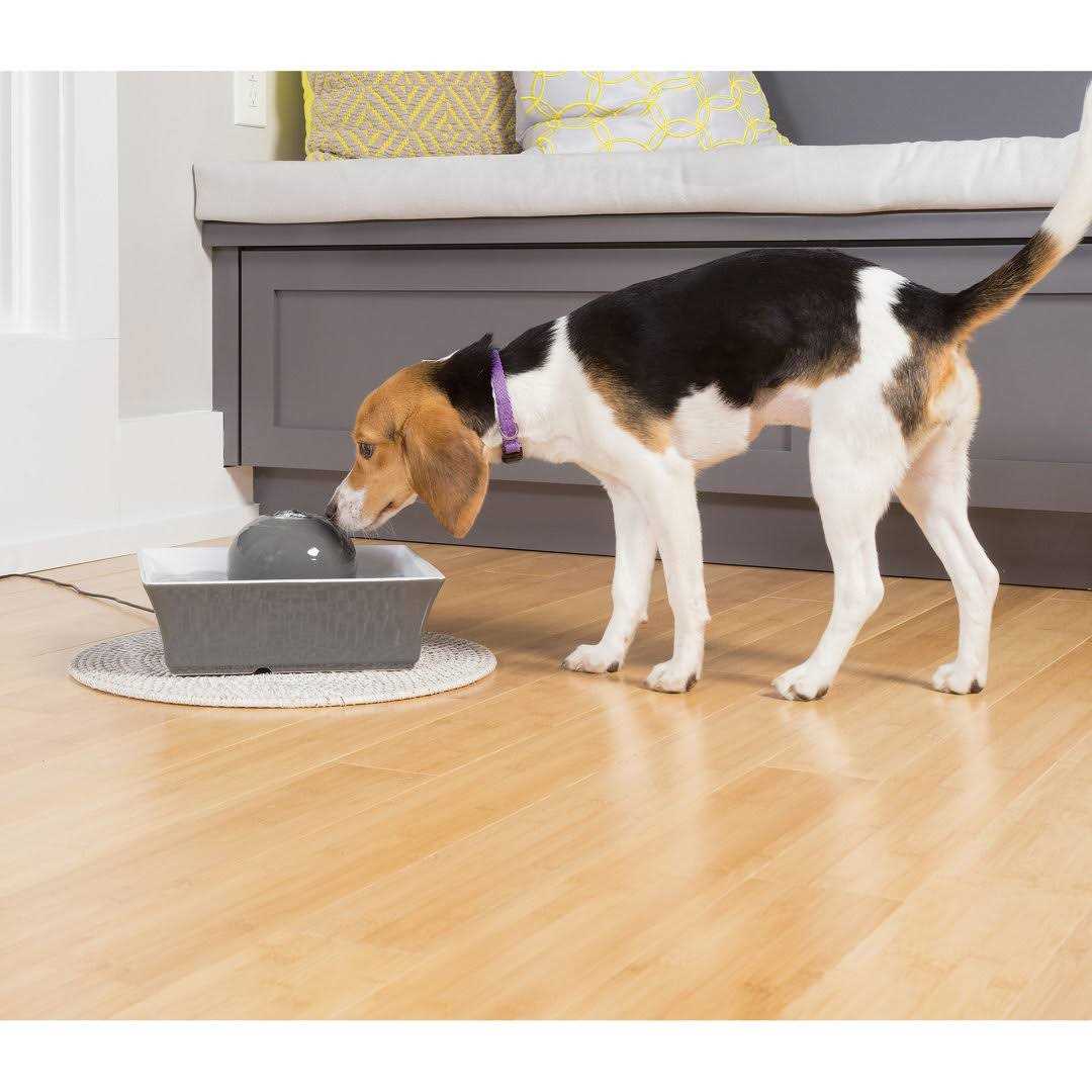 Pet Fountain K7731