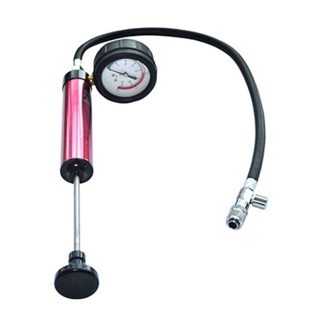 Cooling System Radiator Cap Pressure Test Kit Q239