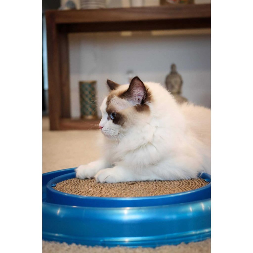 Interactive Cat Scratcher Toy N731