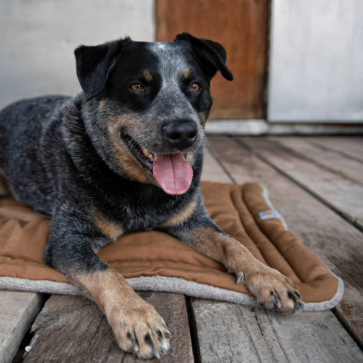 Dog Pad C4447