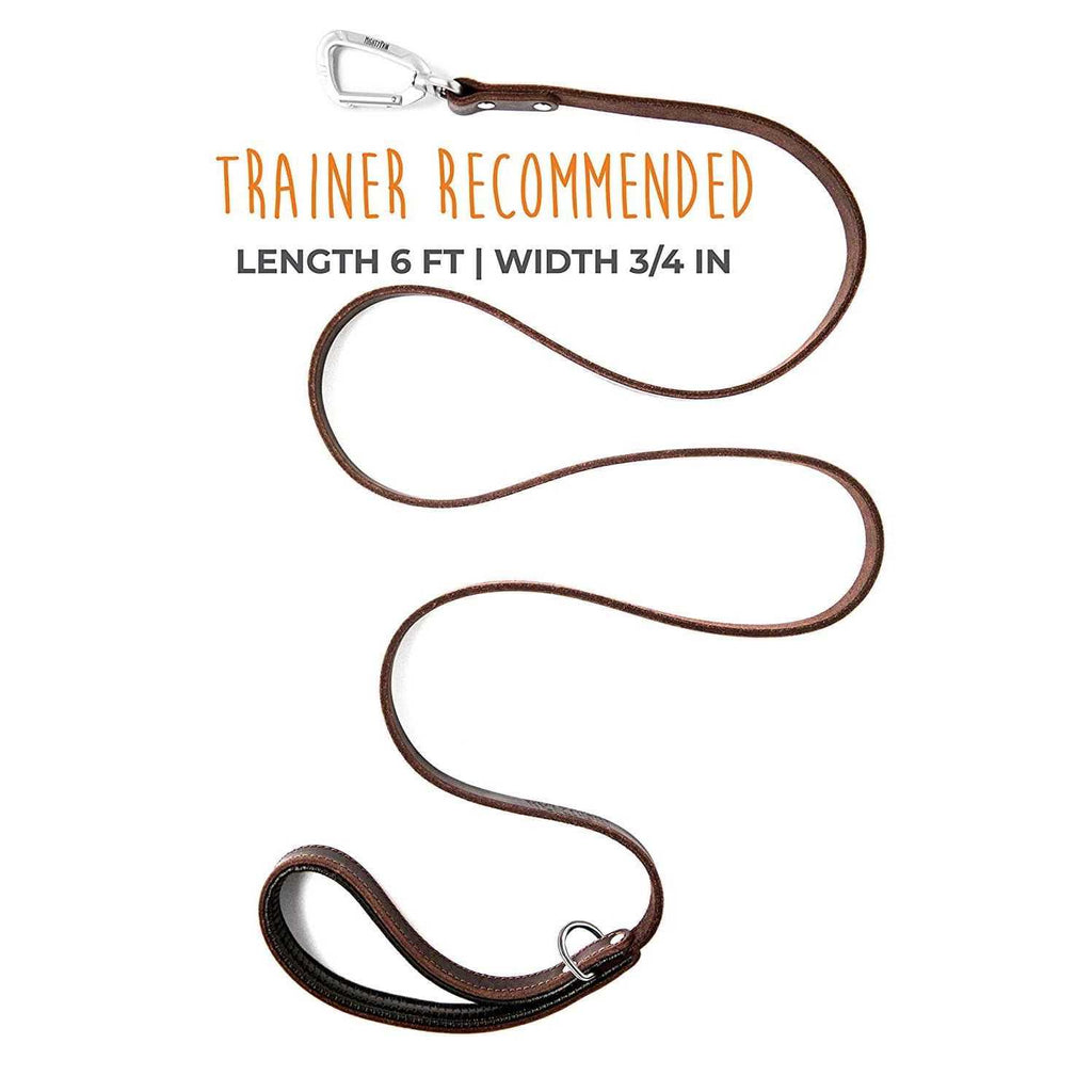 Leather Dog Leash F24683