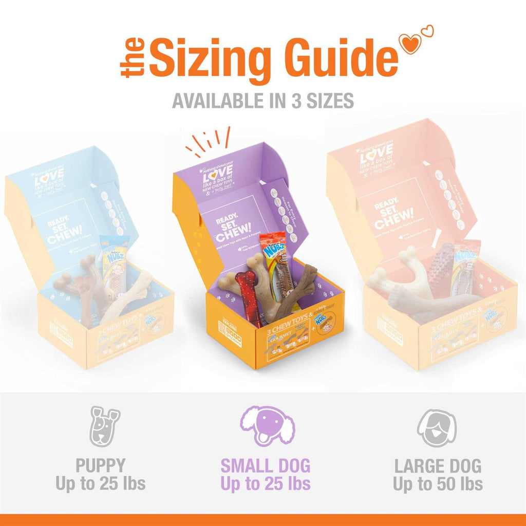 Chew Toy & Treat Gift Box L35735