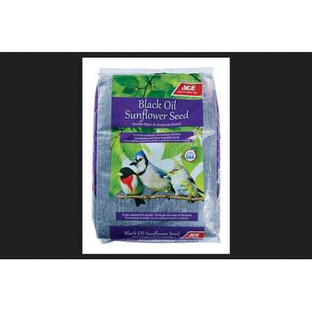 Black Oil Sunflower Seed Wild Bird Food Q88989