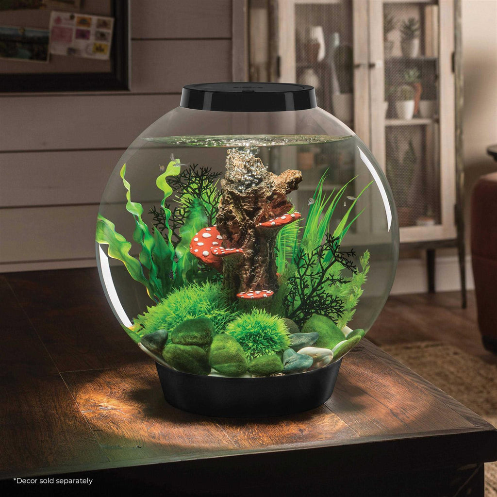 Classic 60 Aquarium with LED B42876