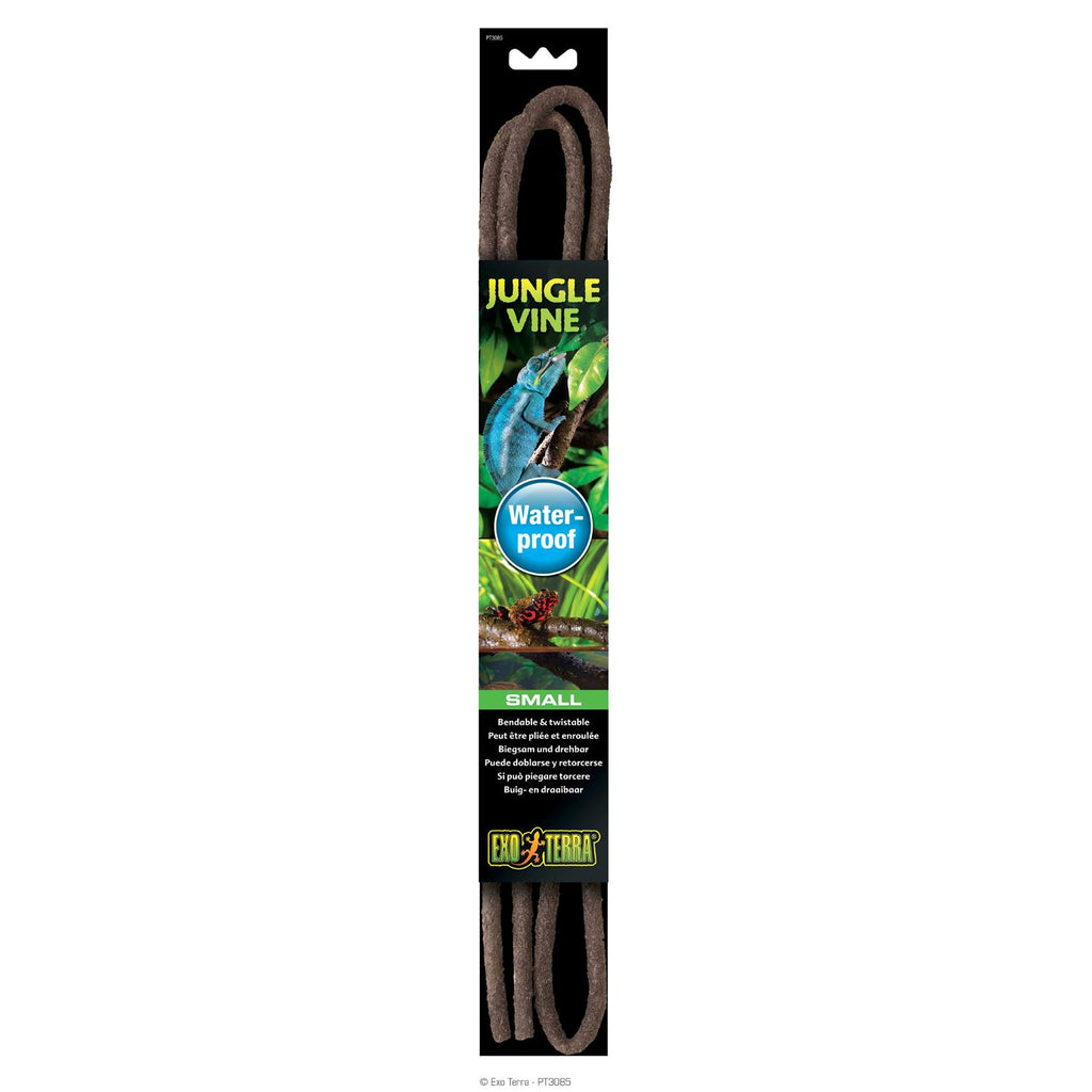 Jungle Vine Z949195
