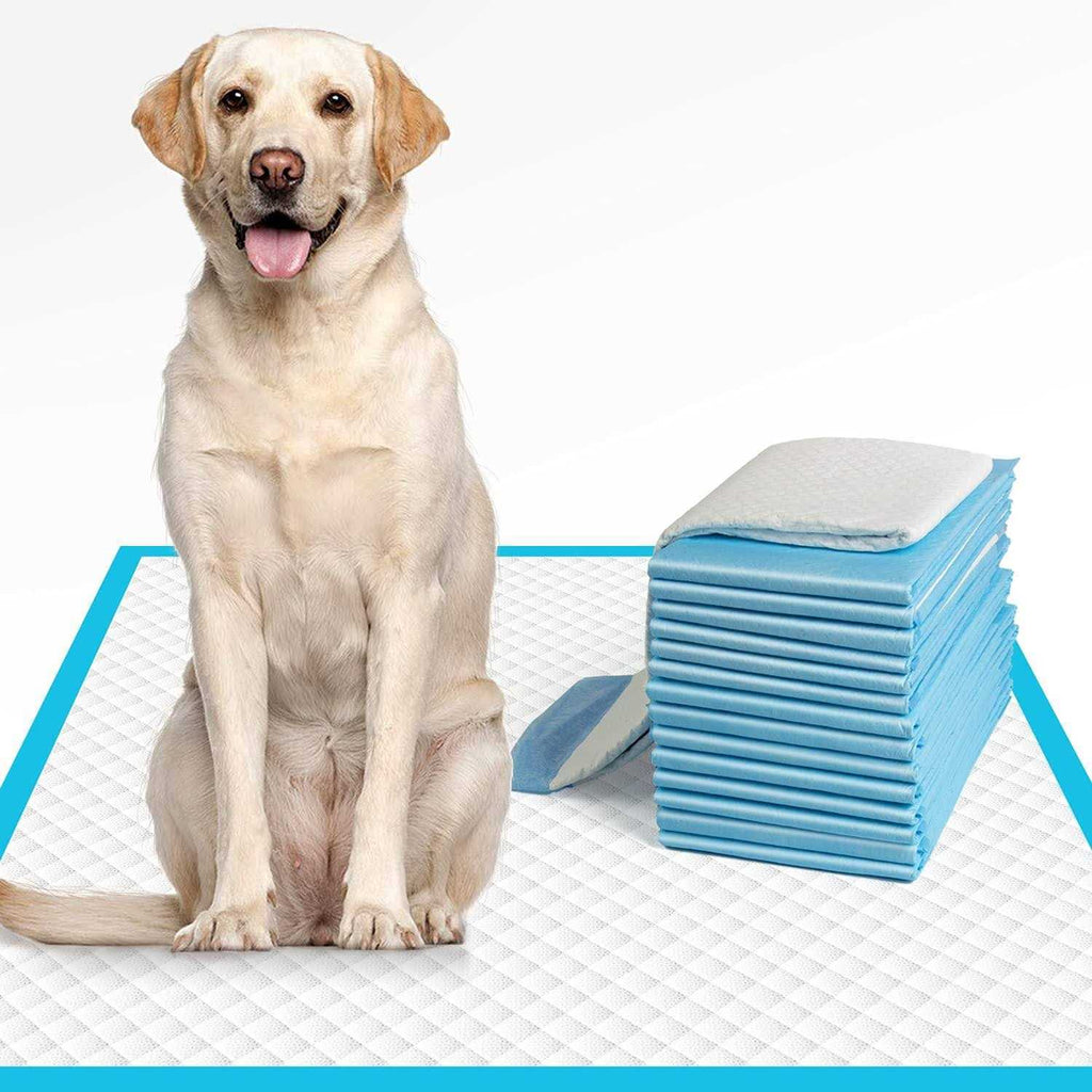 Extra Large Dog Pee Pads Super Absorbent & Leak-Proof T1096