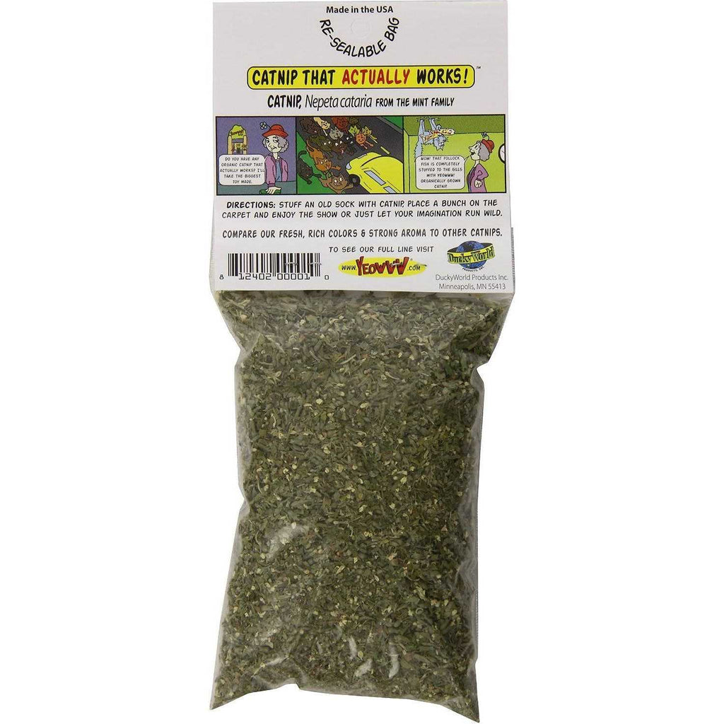 Catnip C48945