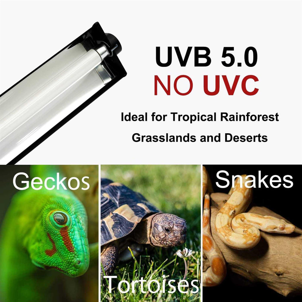T5 HO UVB Lighting Combo Kit with UVB 10.0 Fluorescent Tube M783257