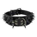 Leather Dog Collar 2 Inch P111721