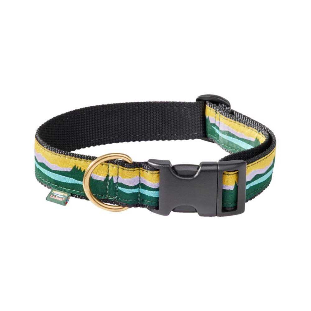 Dog Collar Z528906