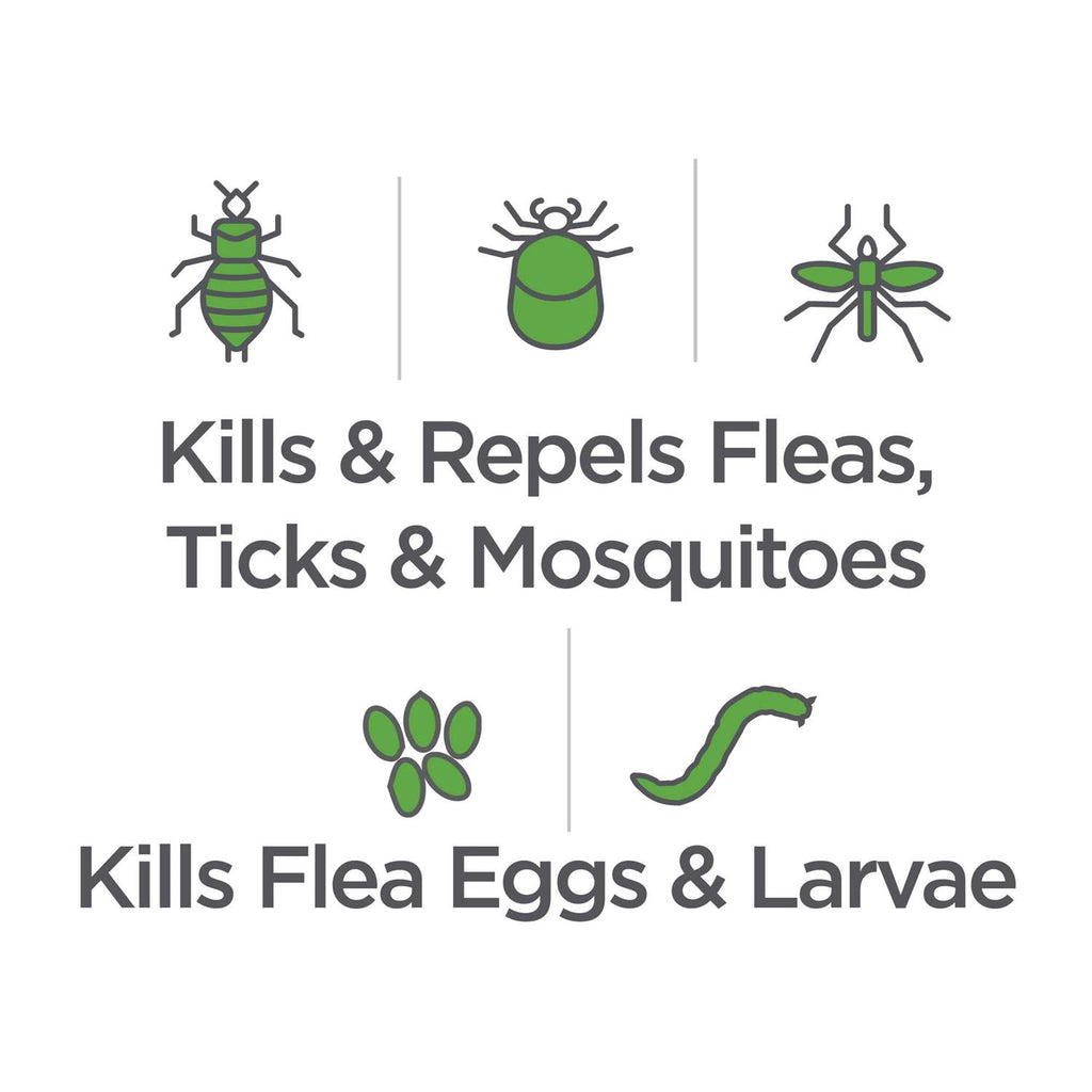 Flea & Tick Spray for Dogs V491484
