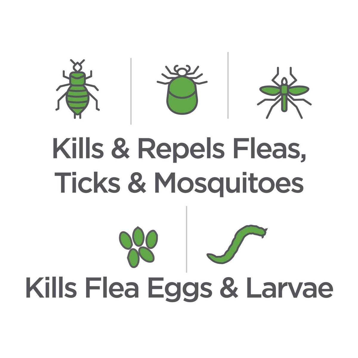 Flea & Tick Spray for Dogs V491484