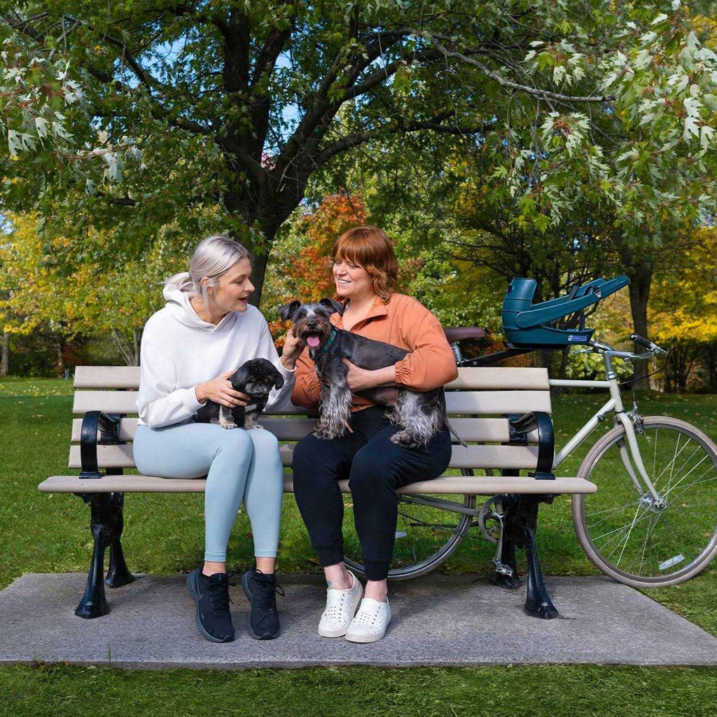 Dog Bicycle Seat for Dogs Up To 25 lbs Q25323