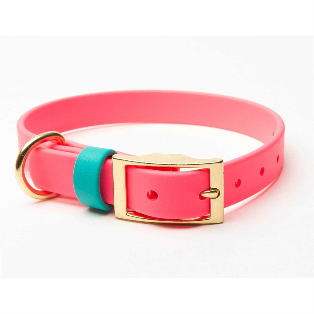 Waterproof Odorless Dog Collar A491833