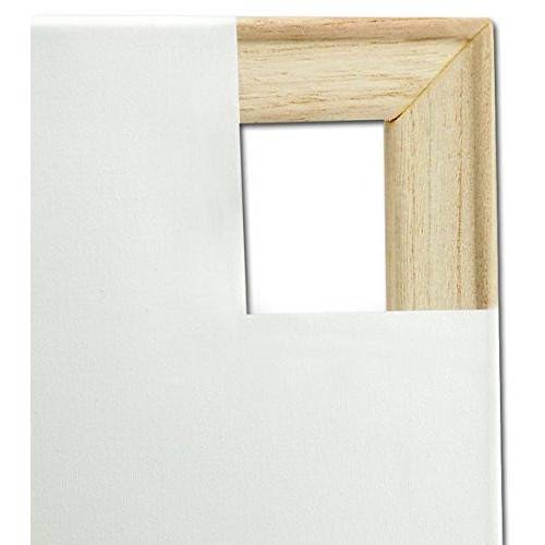 Canvas 20 inch x 24 inch Y349789