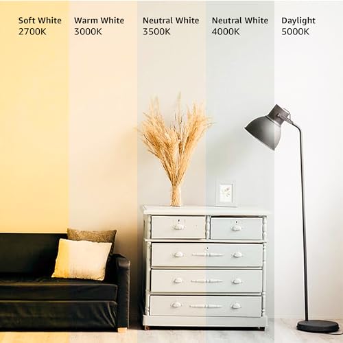 A19 LED Light Bulbs 60 Watt Equivalent 9W E26 Soft White 2700K Dimmable 6-Pack Q757564