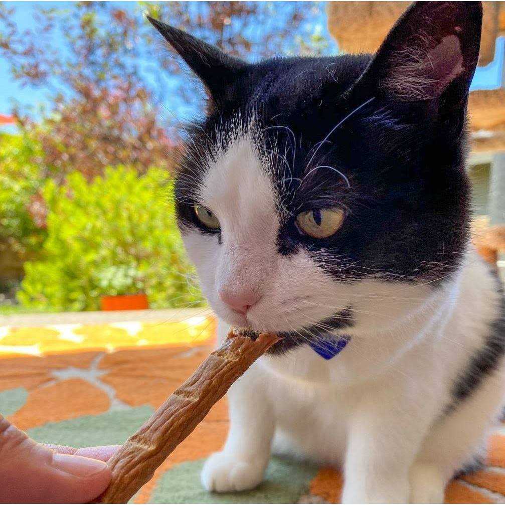 Chicken Cat Treats Q52637