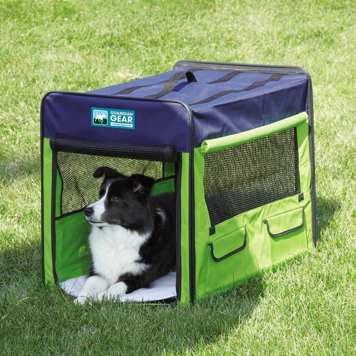 Collapsible Crate T144950