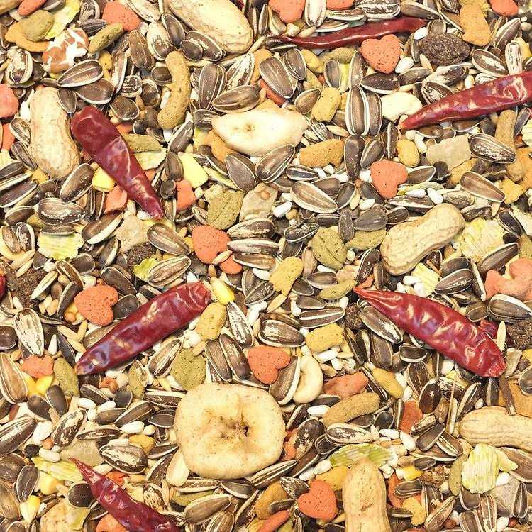 Parrot Food V4291