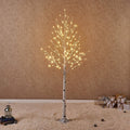 Lighted White Birch Tree 6ft I98537