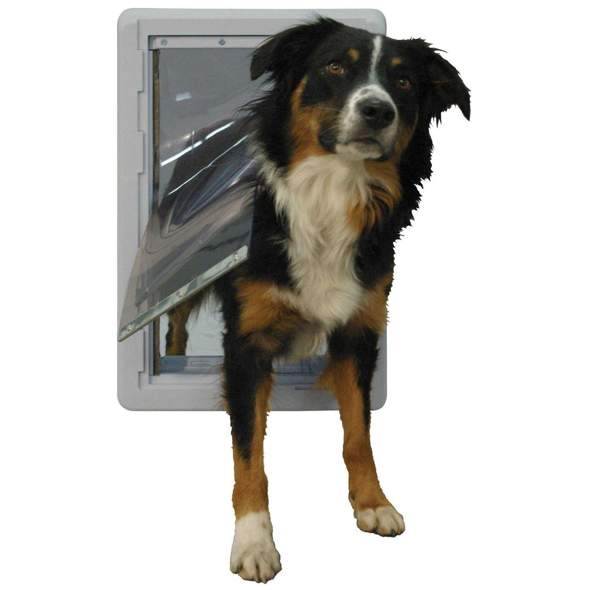 Pet Door Z850