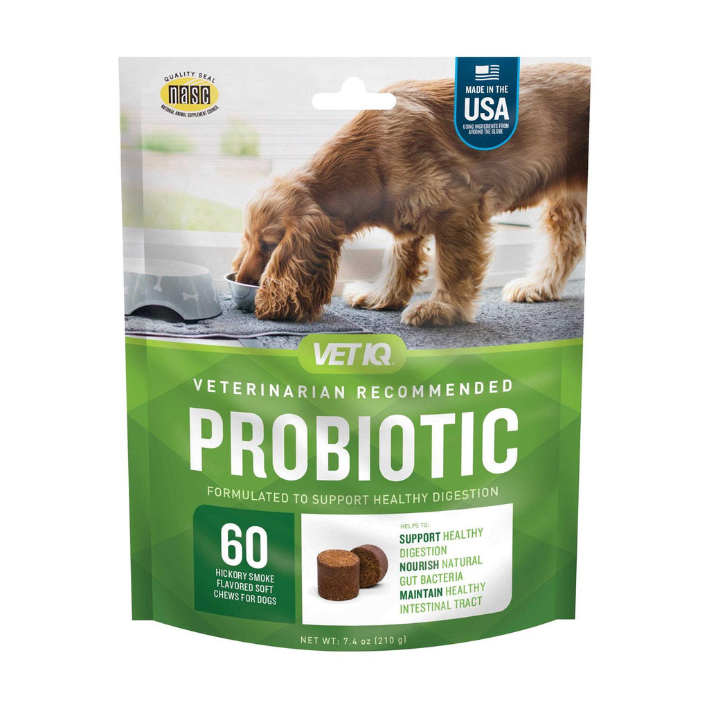 Probiotic Soft Chew Supplement for Dogs K2942