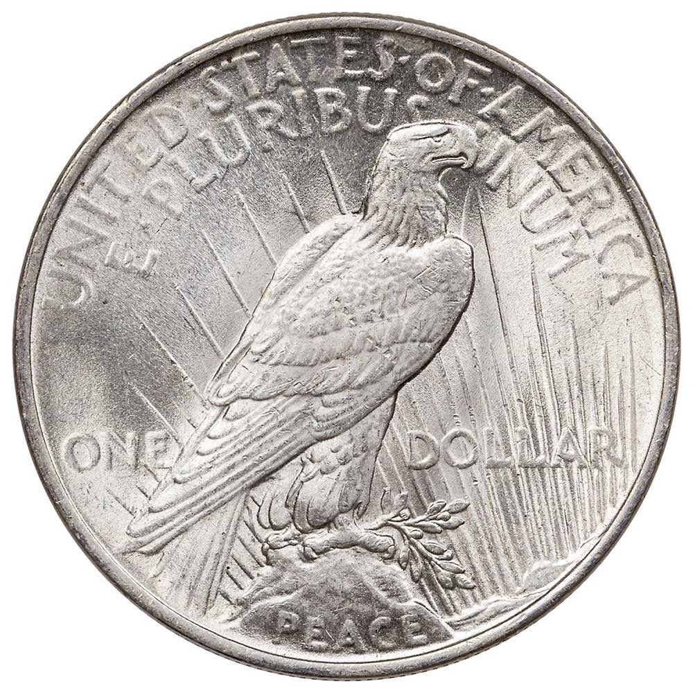 Peace Silver Dollar Extra Fine XF G171