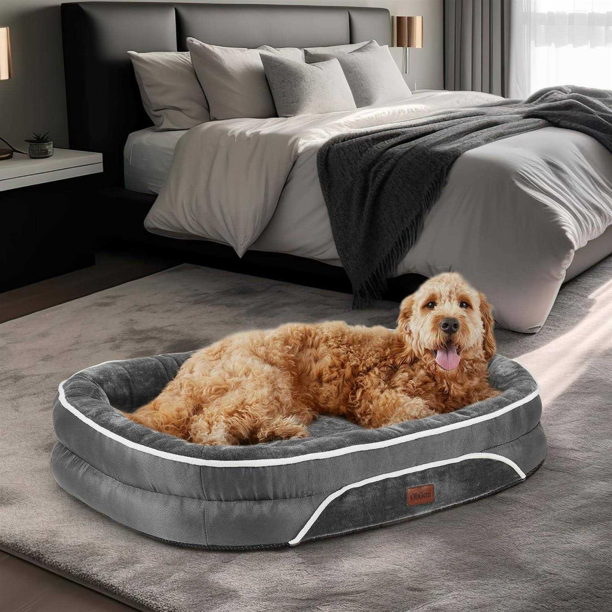 Oversized Orthopedic Dog Bed with Egg Foam R425