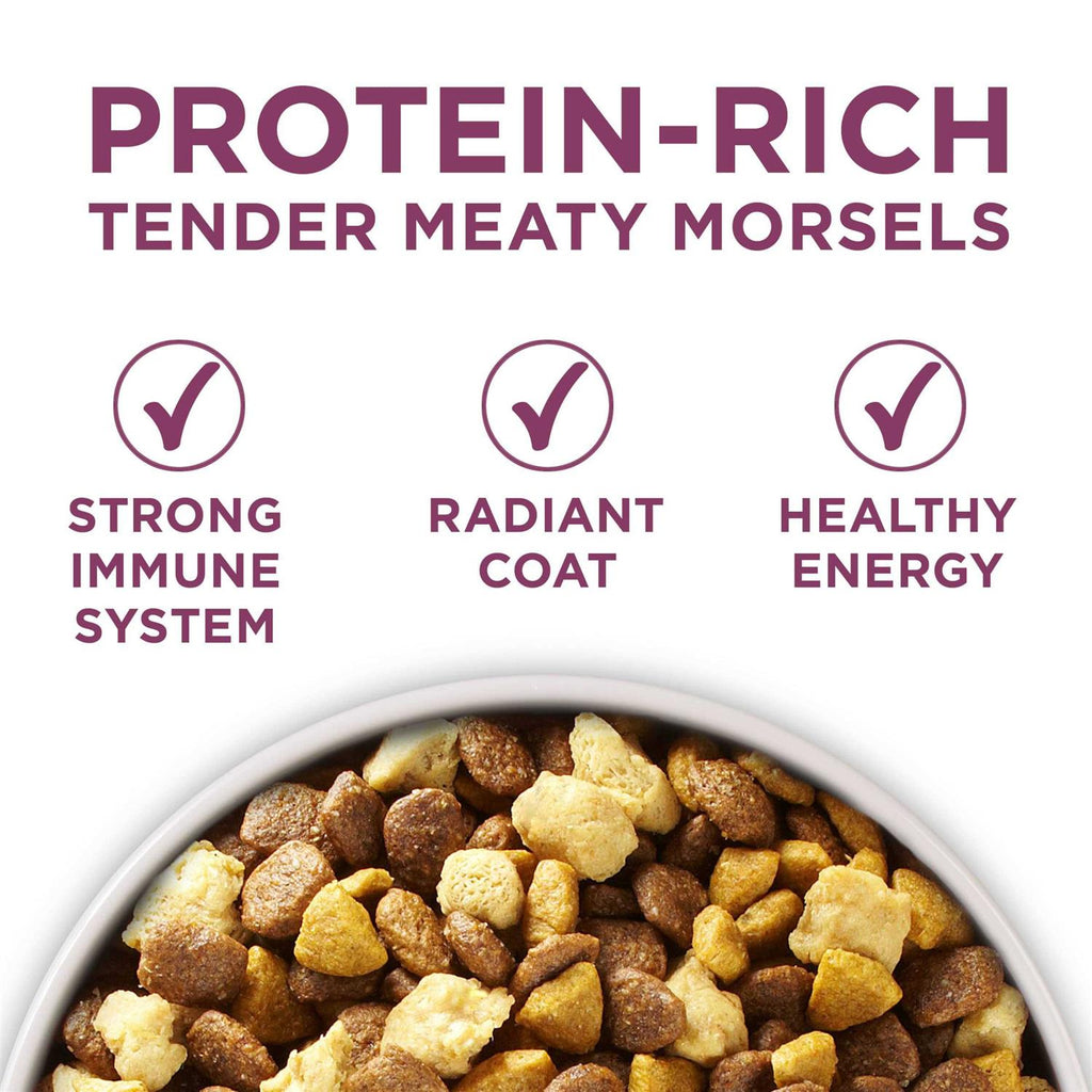 High Protein Dry Dog Food V1546