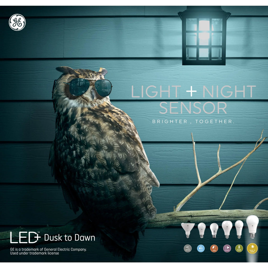 8.5 Watt Soft White A19 LED Light Bulbs L419