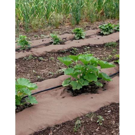 Organic Paper Mulch E981042