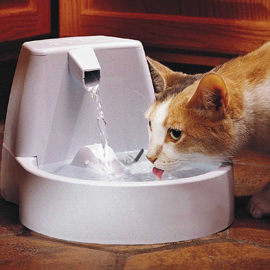 Pet Fountain R806